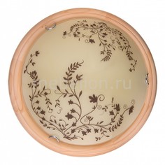 Накладной светильник Irene TL9630Y-00PN Top Light