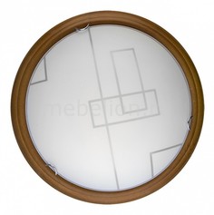 Накладной светильник Debora TL9540Y-00OA Top Light