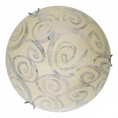 Накладной светильник Flora TL9601Y-00WH Top Light