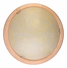 Накладной светильник Jane TL9640Y-00PN Top Light