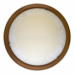 Накладной светильник Ginger TL9620Y-00OA Top Light