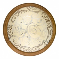Накладной светильник Flora TL9600Y-00OA Top Light