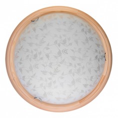 Накладной светильник Beatrice TL9280Y-00PN Top Light