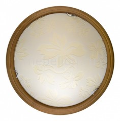 Накладной светильник Jane TL9640Y-00OA Top Light