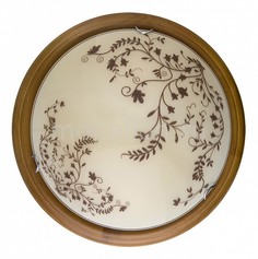 Накладной светильник Irene TL9630Y-00OA Top Light