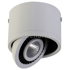 Накладной светильник Reflector 1776-1C Favourite