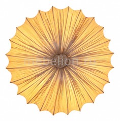 Накладной светильник Tessuto SL351.072.05 St Luce