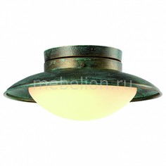 Накладной светильник Gambrinus A9256PL-1BG Arte Lamp