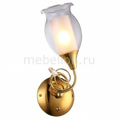 Бра Mughetto A9289AP-1GO Arte Lamp