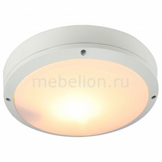 Накладной светильник City A8154PF-2WH Arte Lamp