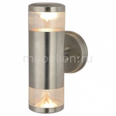 Светильник на штанге Intrigo A8161AL-2SS Arte Lamp