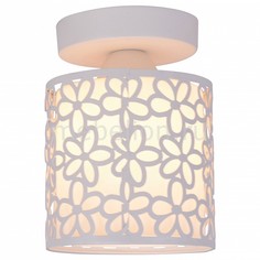 Накладной светильник Traforato A8349PL-1WH Arte Lamp