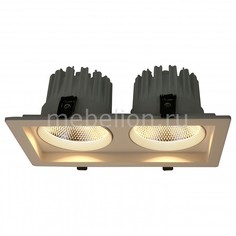 Встраиваемый светильник Privato A7018PL-2WH Arte Lamp