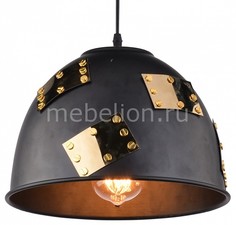 Подвесной светильник Eurica A6023SP-1BK Arte Lamp