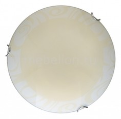 Накладной светильник Ginger TL9621Y-00WH Top Light