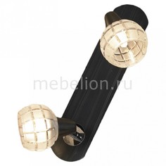 Спот Silandro LSL-8601-02 Lussole