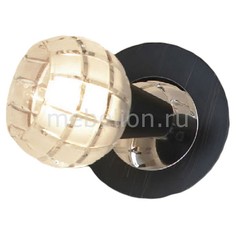 Спот Silandro LSL-8601-01 Lussole