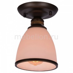 Накладной светильник Bonito A9518PL-1BA Arte Lamp