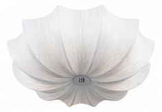 Накладной светильник Fiore SL358.502.05 St Luce