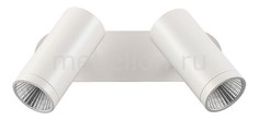 Спот Tubo 357462 Novotech