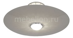 Накладной светильник Alcosa SL931.502.01 St Luce