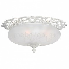 Накладной светильник Venezia E 1.13.46 BW Arti Lampadari