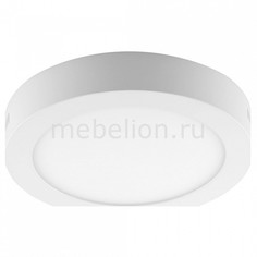 Накладной светильник AL504 27939 Feron