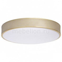 Накладной светильник Ривз 674015901 Mw Light