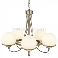 Подвесная люстра Bergamo A2990LM-5AB Arte Lamp