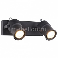 Спот Arcu 2026-2W Favourite