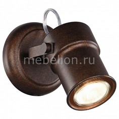 Спот Arcu 2025-1W Favourite