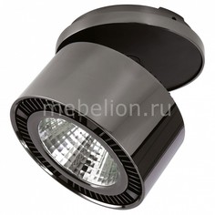 Спот Forte Inca 214828 Lightstar