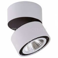 Светильник на штанге Forte Muro LED 213839 Lightstar