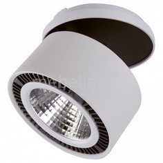 Спот Forte Inca 214829 Lightstar