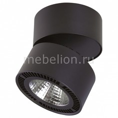 Светильник на штанге Forte Muro LED 213837 Lightstar