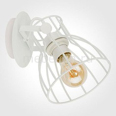 Спот 2116 Alano White Eurosvet