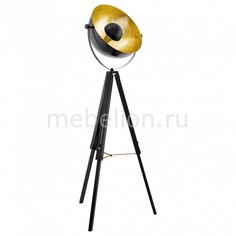 Торшер Covaleda 49618 Eglo