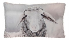 Подушка декоративная (50х30 см) Sheep 320627 ОГОГО Обстановочка