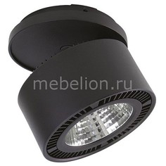 Спот Forte 214847 Lightstar