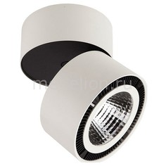 Накладной светильник Forte 214850 Lightstar
