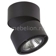 Накладной светильник Forte 214857 Lightstar