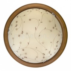 Накладной светильник Karissa TL9650Y-00OA Top Light