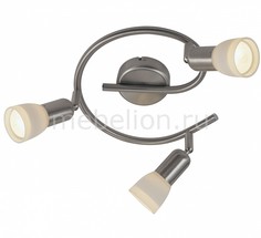 Спот Cathy 5453-3 Globo