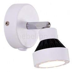Бра Данди CL557511 Citilux