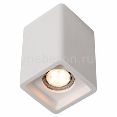 Накладной светильник Tubo A9261PL-1WH Arte Lamp