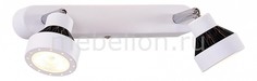 Спот Данди CL557521 Citilux