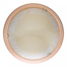 Накладной светильник Ginger TL9620Y-00PN Top Light
