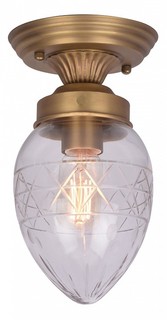 Накладной светильник A2304PL-1SG Arte Lamp