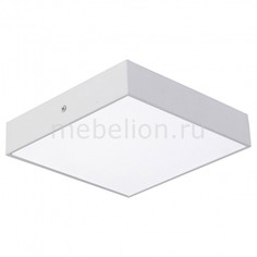 Накладной светильник Flashled 2066-24C Favourite