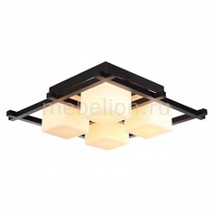 Накладной светильник Woods A8252PL-4CK Arte Lamp